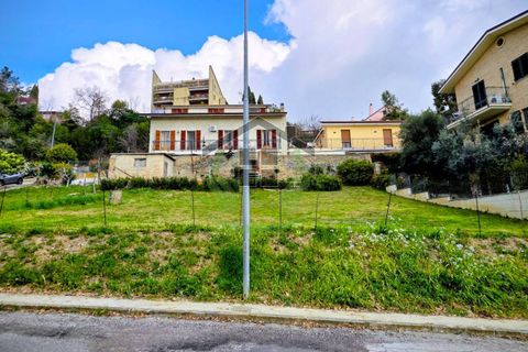 Terra a Campofilone, Fermo, Campofilone - € 85.000 | Ref: 1824 - foto 3