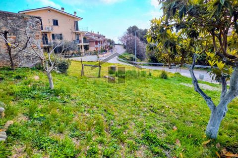 Terra a Campofilone, Fermo, Campofilone - € 85.000 | Ref: 1824 - foto 4