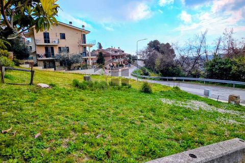 Terra a Campofilone, Fermo, Campofilone - € 85.000 | Ref: 1824 - foto 6