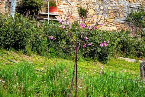Terra a Campofilone, Fermo, Campofilone - € 85.000 | Ref: 1824 - foto 9