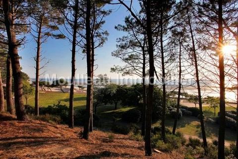 Villa i Arcachon, Gironde, Arcachon - € 2.964.000 | Ref: 86349181 - foto 4
