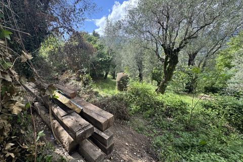 Landejendom i Blausasc, Alpes-Maritimes, Blausasc - € 229.000 | Ref: 86998018 - foto 24