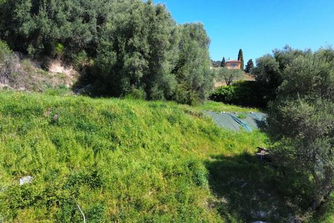 Terra em Nice, Alpes-Maritimes, Nice - € 330.000 | Ref: 1288 - foto 2