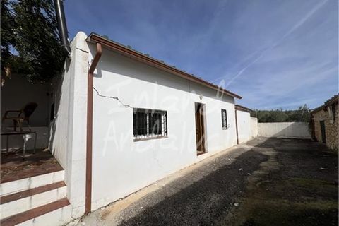 Erhvervsejendom i Montefrio, Granada, Montefrio - € 800.000 | Ref: CM180 - foto 9