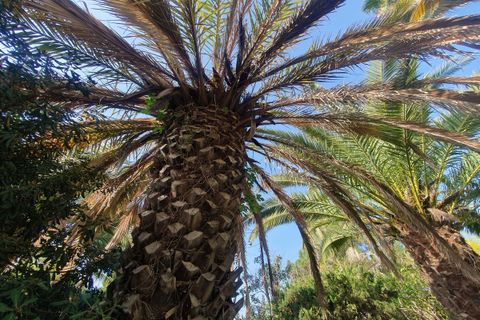 Villa i Mijas, Malaga, Mijas - € 1.800.000 | Ref: MLSC5421252 - foto 20