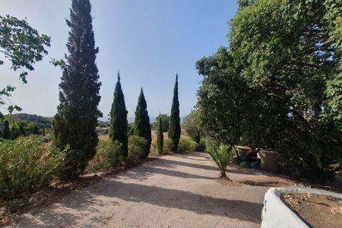 Villa i Mijas, Malaga, Mijas - € 1.800.000 | Ref: MLSC5421252 - foto 27
