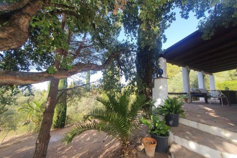 Villa i Mijas, Malaga, Mijas - € 1.800.000 | Ref: MLSC5421252 - foto 28