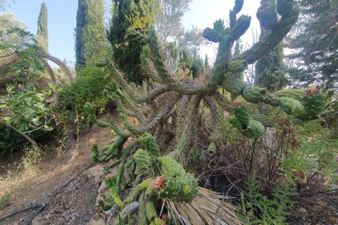 Villa i Mijas, Malaga, Mijas - € 1.800.000 | Ref: MLSC5421252 - foto 30