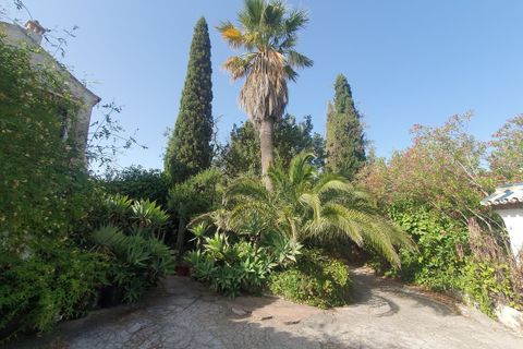 Villa i Mijas, Malaga, Mijas - € 1.800.000 | Ref: MLSC5421252 - foto 31