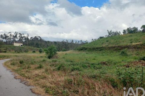 Helårsgrund i Ourem, Santarem, Ourem - € 47.500 | Ref: 907504 - foto 4