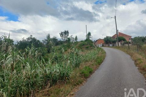 Helårsgrund i Ourem, Santarem, Ourem - € 47.500 | Ref: 907504 - foto 5