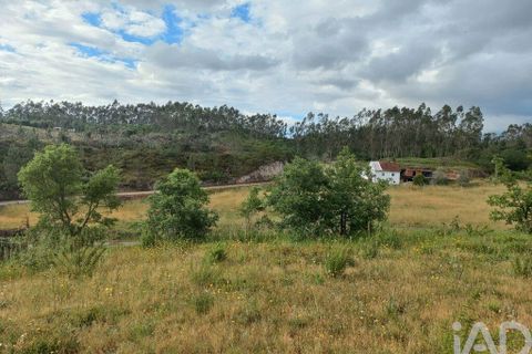 Helårsgrund i Ourem, Santarem, Ourem - € 47.500 | Ref: 907504 - foto 13