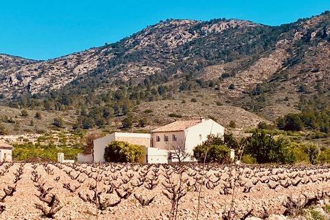 Villa i El Canton, Murcia, El Canton - € 449.000 | Ref: C-1924 - foto 34
