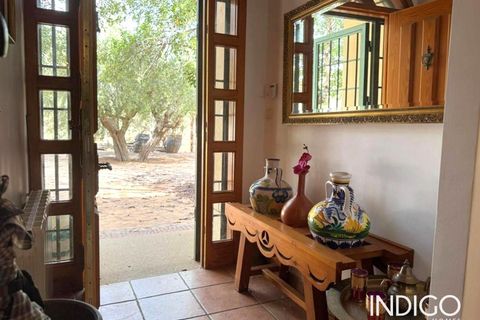 Villa i San Vicente Del Raspeig, Alicante - foto 4