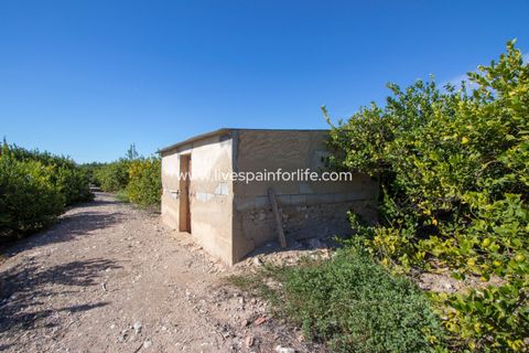 Landejendom i Albatera, Alicante, Albatera - € 425.000 | Ref: ALBA TAM-D-D - foto 27