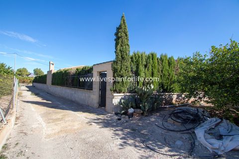 Landejendom i Albatera, Alicante, Albatera - € 425.000 | Ref: ALBA TAM-D-D - foto 32