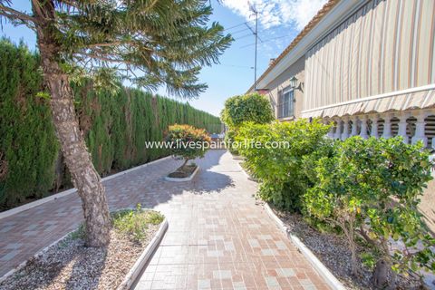 Landejendom i Albatera, Alicante, Albatera - € 425.000 | Ref: ALBA TAM-D-D - foto 34