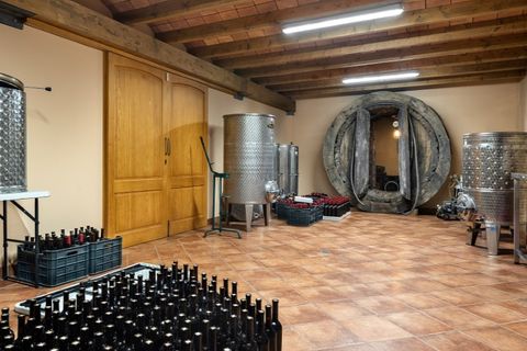 Landejendom i Sencelles, Mallorca, Sencelles - € 2.950.000 | Ref: 5459 - foto 17