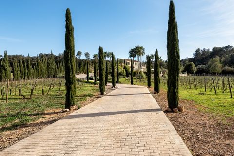 Landejendom i Sencelles, Mallorca, Sencelles - € 2.950.000 | Ref: 5459 - foto 19