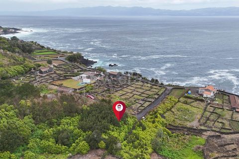 Helårsgrund i Lajes do Pico, Pico, Lajes do Pico - € 29.900 | Ref: 374260050 - foto 6