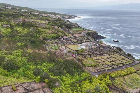 Helårsgrund i Lajes do Pico, Pico, Lajes do Pico - € 29.900 | Ref: 374260050 - foto 7