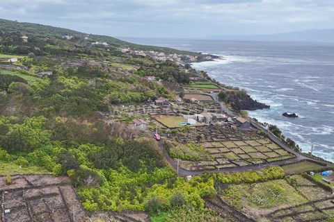 Helårsgrund i Lajes do Pico, Pico, Lajes do Pico - € 29.900 | Ref: 374260050 - foto 8