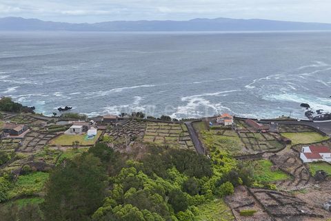 Helårsgrund i Lajes do Pico, Pico, Lajes do Pico - € 29.900 | Ref: 374260050 - foto 9