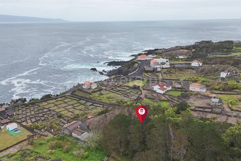 Helårsgrund i Lajes do Pico, Pico, Lajes do Pico - € 29.900 | Ref: 374260050 - foto 11