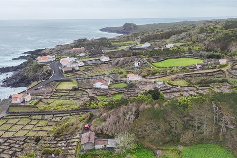 Helårsgrund i Lajes do Pico, Pico, Lajes do Pico - € 29.900 | Ref: 374260050 - foto 12