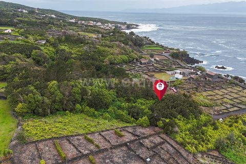 Helårsgrund i Lajes do Pico, Pico, Lajes do Pico - € 29.900 | Ref: 374260050 - foto 13