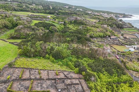 Helårsgrund i Lajes do Pico, Pico, Lajes do Pico - € 29.900 | Ref: 374260050 - foto 14