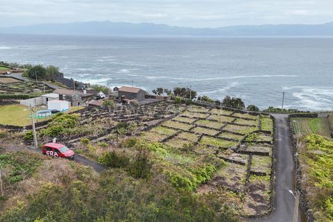 Helårsgrund i Lajes do Pico, Pico, Lajes do Pico - € 29.900 | Ref: 374260050 - foto 16