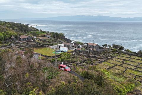 Helårsgrund i Lajes do Pico, Pico, Lajes do Pico - € 29.900 | Ref: 374260050 - foto 18