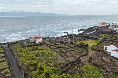 Helårsgrund i Lajes do Pico, Pico, Lajes do Pico - € 29.900 | Ref: 374260050 - foto 20