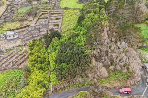 Helårsgrund i Lajes do Pico, Pico, Lajes do Pico - € 29.900 | Ref: 374260050 - foto 21