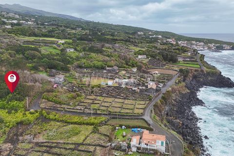 Helårsgrund i Lajes do Pico, Pico, Lajes do Pico - € 29.900 | Ref: 374260050 - foto 22