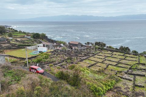 Helårsgrund i Lajes do Pico, Pico, Lajes do Pico - € 29.900 | Ref: 374260050 - foto 23