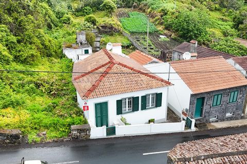 Villa a Lajes do Pico, Pico, Lajes do Pico - € 220.000 | Ref: 374260079 - foto 20