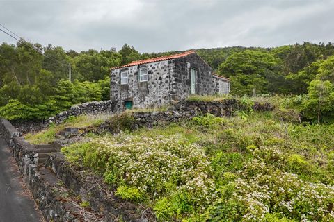 Byhus i Madalena, Pico, Madalena - € 135.000 | Ref: 374260093 - foto 2
