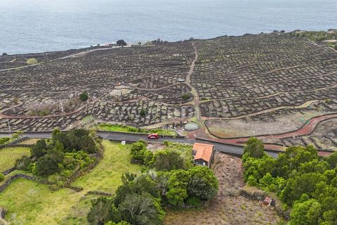 Byhus i Madalena, Pico, Madalena - € 135.000 | Ref: 374260093 - foto 4