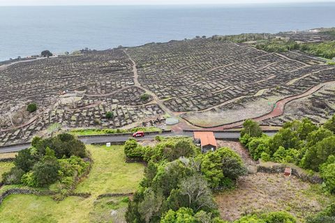 Byhus i Madalena, Pico, Madalena - € 135.000 | Ref: 374260093 - foto 5