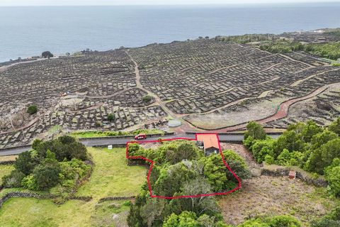 Byhus i Madalena, Pico, Madalena - € 135.000 | Ref: 374260093 - foto 6