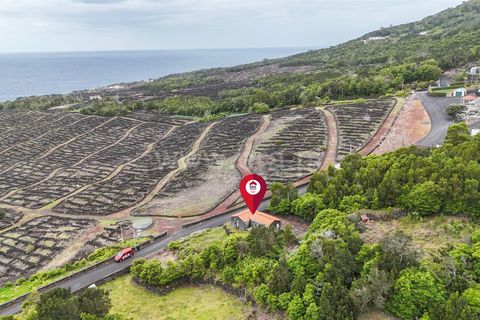 Byhus i Madalena, Pico, Madalena - € 135.000 | Ref: 374260093 - foto 7