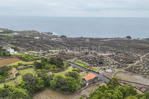 Byhus i Madalena, Pico, Madalena - € 135.000 | Ref: 374260093 - foto 8