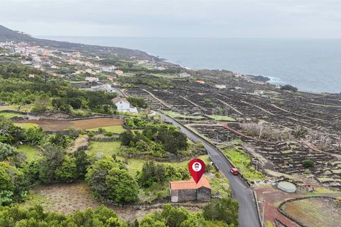 Byhus i Madalena, Pico, Madalena - € 135.000 | Ref: 374260093 - foto 10
