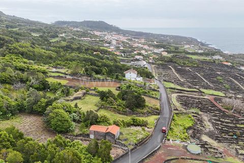 Byhus i Madalena, Pico, Madalena - € 135.000 | Ref: 374260093 - foto 11