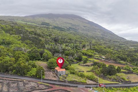 Byhus i Madalena, Pico, Madalena - € 135.000 | Ref: 374260093 - foto 12