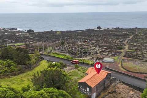 Byhus i Madalena, Pico, Madalena - € 135.000 | Ref: 374260093 - foto 13