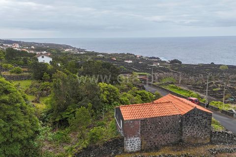 Byhus i Madalena, Pico, Madalena - € 135.000 | Ref: 374260093 - foto 14
