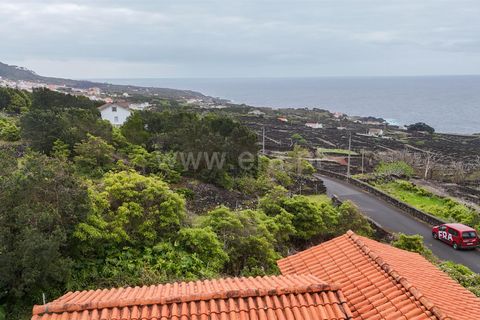 Byhus i Madalena, Pico, Madalena - € 135.000 | Ref: 374260093 - foto 16
